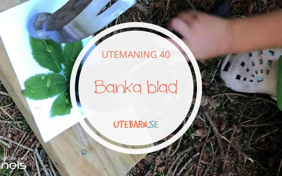 Utemaning 40 – Banka blad